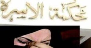 حكم-لا-يجوز-الاستئناف-عليه.-تعرف-على-التفاصيل
